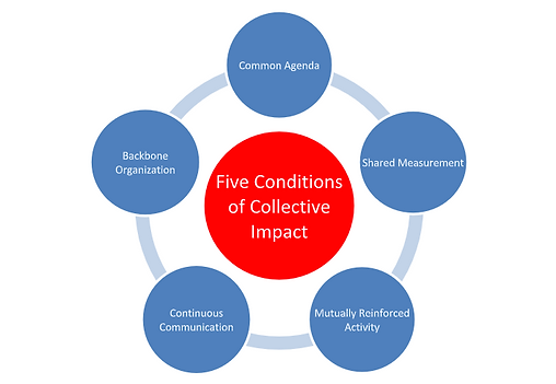 Collective Impact Model